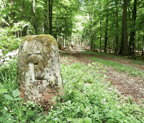 pfaffenkopf-einstige-grenzmarkierung-der-abtei-echternach, © Elke Wagner, Felsenland Südeifel Tourismus GmbH