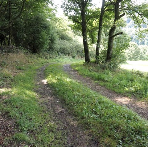 Wanderweg im Ourtal, © V. Teuschler