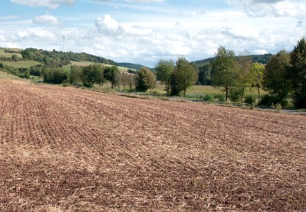 Blick ins Enztal, © V. Teuschler