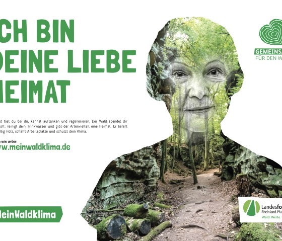 Plakatmotiv MeinWaldklima, © Landesforsten Rheinland-Pfalz