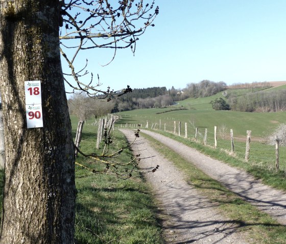 Wanderweg Nr. 18 bei Oberpierscheid, © Tourist-Information Islek