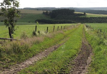 Eifelhöhen, © Volker Teuschler