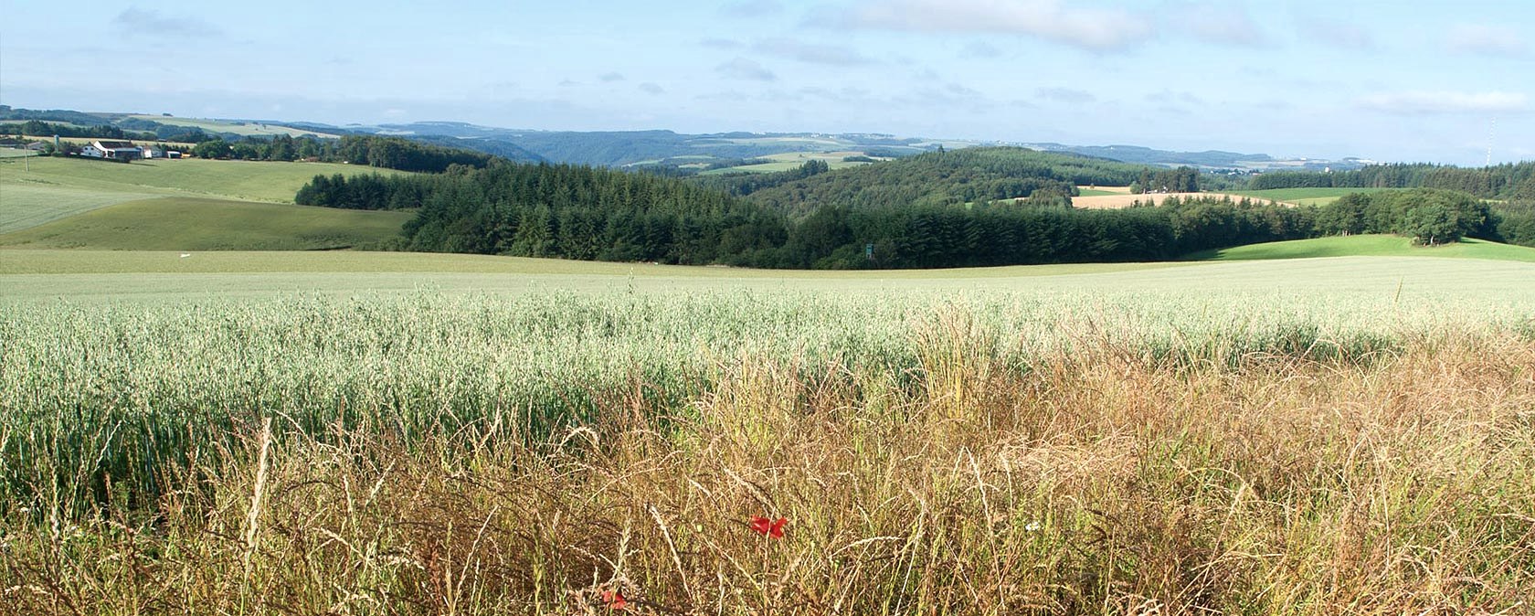 Eifelhöhen, © V. Teuschler