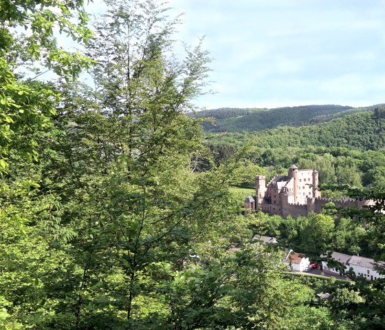 Panoramablick auf Schloss Hamm - einfach märchenhaft, © TI Bitburger Land