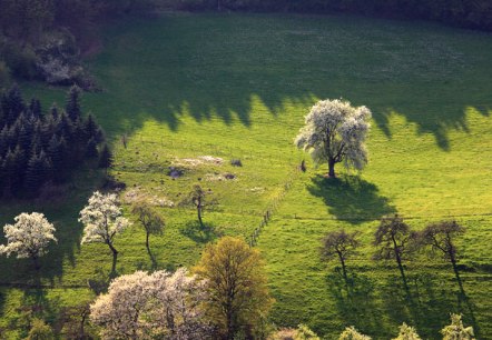 Blick ins Prümtal, © Charly Schleder