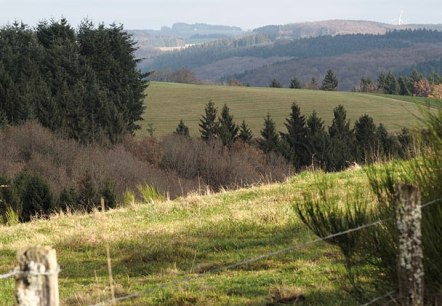 Eifelhöhen bei Arzfeld, © Volker Teuschler