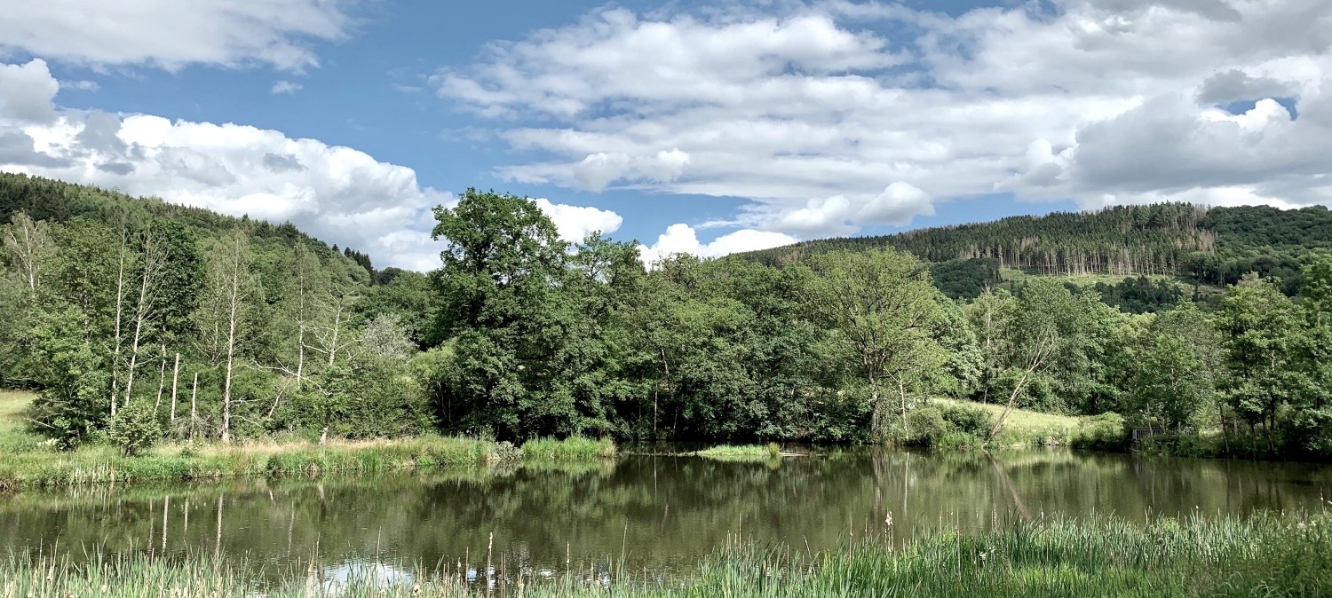 Stausee Irrhausen, © Naturpark Südeifel/Ansgar Dondelinger