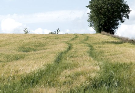 Eifel, © V. Teuschler