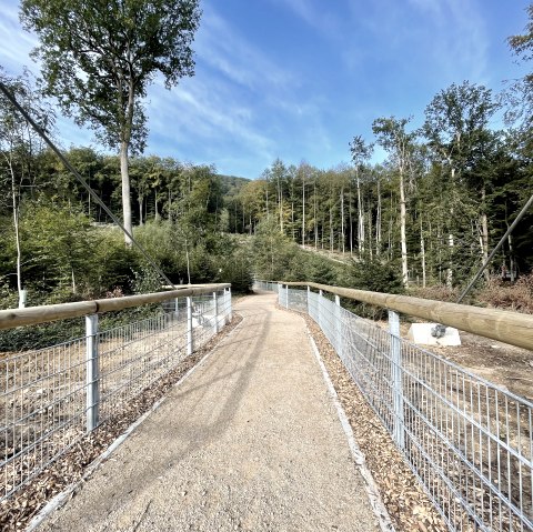 Weg zur Hängebrücke, © Naturpark Südeifel/Ansgar Dondelinger