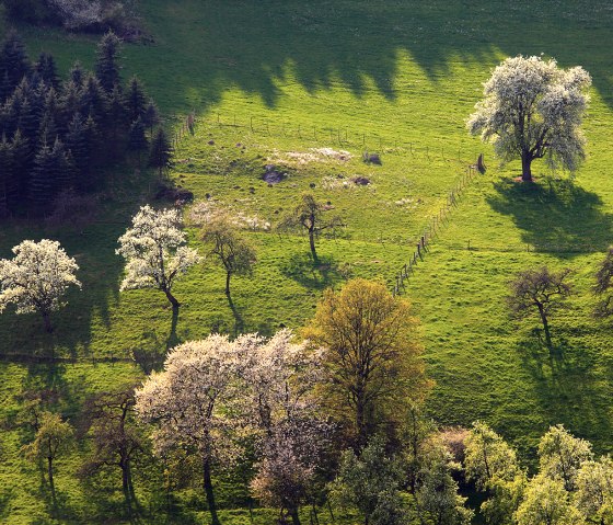 Blick ins Prümtal, © Charly Schleder