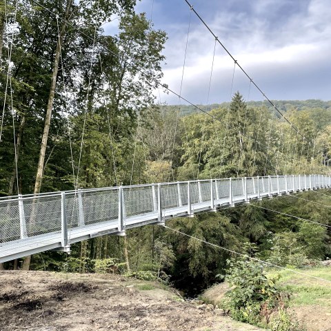 Hängebrücke über den Irreler Wasserfällen., © Naturpark Südeifel/Ansgar Dondelinger