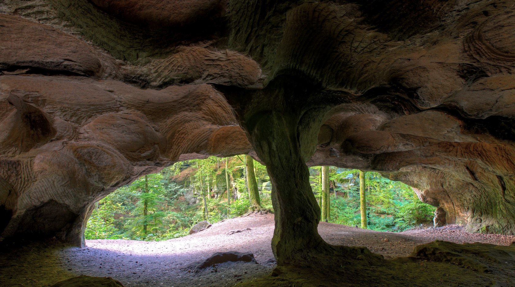 Felsenweg 1 im NaturWanderPark delux, © NP Südeifel ZV / Charly Schleder