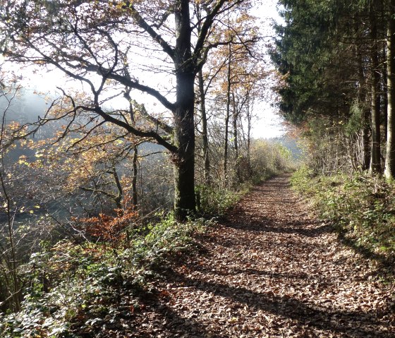 Wanderweg Nr. 87 im Herbst, © Tourist-Information Islek