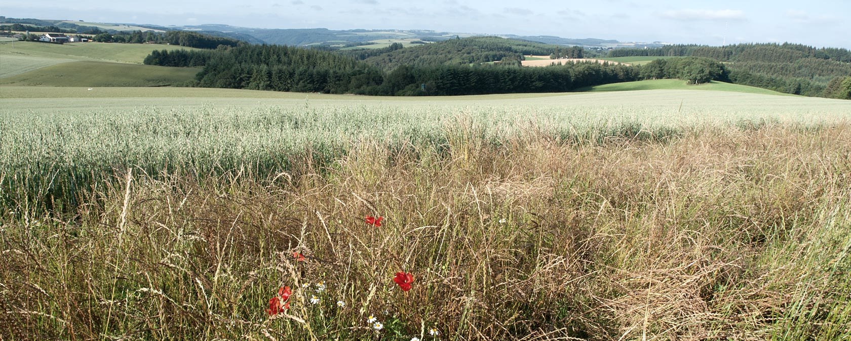 Blick über Bommert, © V. Teuschler