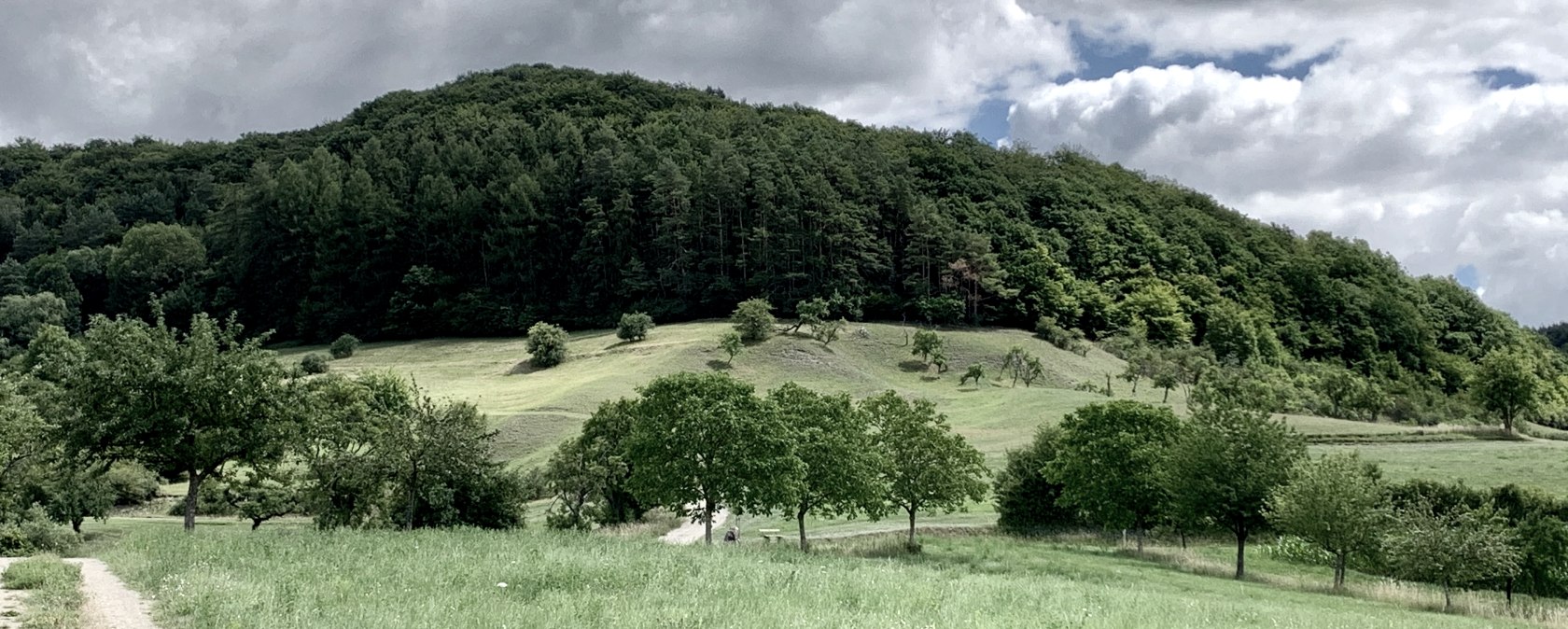 Weg Römische Villa Holsthum, © Naturpark Südeifel/Ansgar Dondelinger