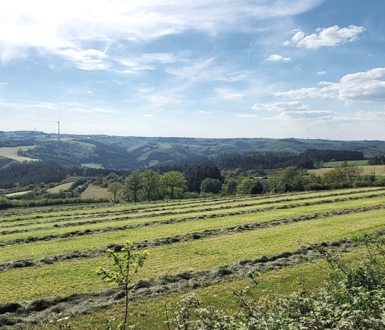 Fernblick Richtung Luxemburg, © Tourist-Information Islek