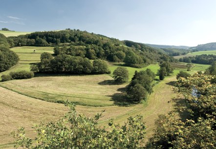 Naturparktipp Sommerferien 2020, © Naturpark Südeifel/Pierre Haas