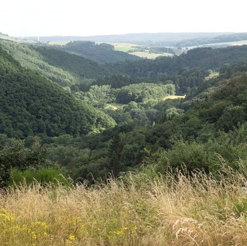 Blick über die Südeifel, © V. Teuschler