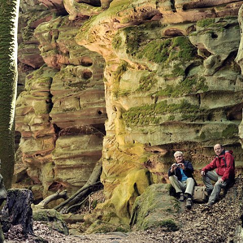 Felsenlandschaft im Naturpark Südeifel, © NP Südeifel ZV