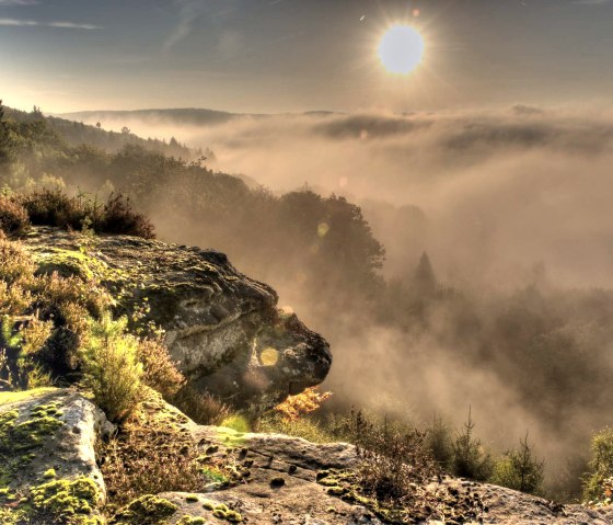 Felsenweg 2 NaturWanderPark delux, © Naturpark Südeifel/Pierre Haas