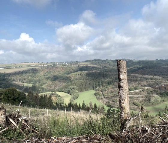 Fernblick vom Wanderweg, © Ingo Kleis