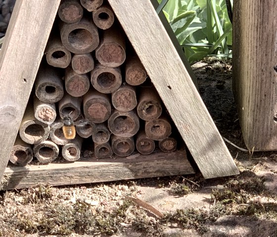 Nisthilfe Wildbienen, © Naturpark Südeifel/Daniela Torgau