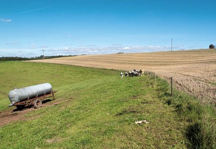 Felder bei Geichlingen, © V. Teuschler