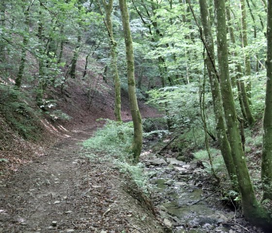 kleiner Bachlauf am Wanderweg, © Tourist-Information Islek