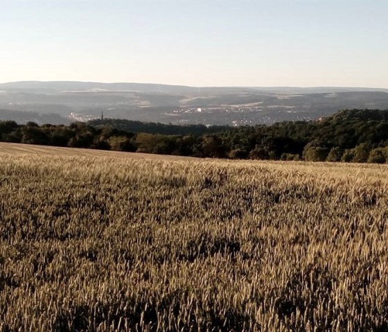 Sommerliche_Impressionen_Blick_auf_Trier, © Monika Kunze