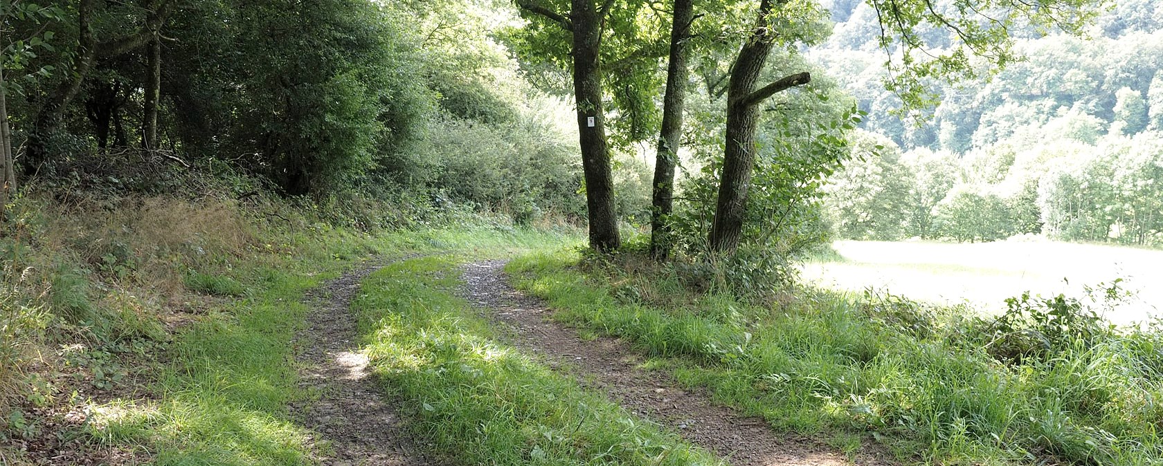 Wanderweg im Ourtal, © V. Teuschler