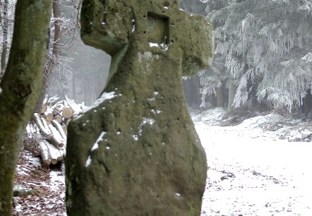 Fraubillenkreuz im Winterwald, © Elke Wagner