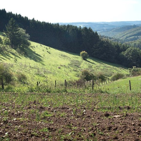 Blick ins Mühlbach-Tal, © Volker Teuschler