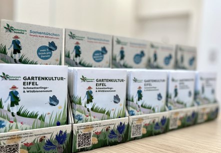 Saatgutmischung Schmetterlings- und Wildbienensaum, © Naturpark Südeifel/Ansgar Dondelinger