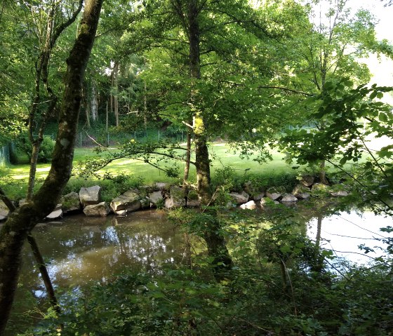 Fluss Prüm, © Naturpark Südeifel/Indra Schaperdoth