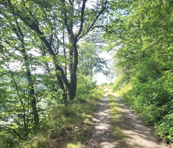 Idyllischer Waldweg, © Tourist-Information Islek