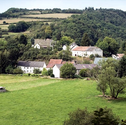 Blick auf Gemünd, © V. Teuschler