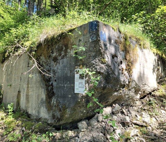 Bunkerreste bei Dasburg, © Tourist-Information Islek