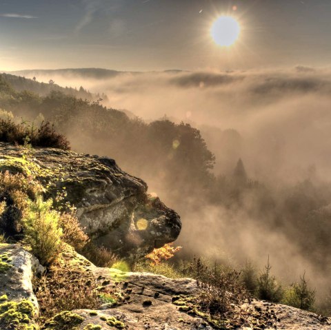 Felsenweg 2 NaturWanderPark delux, © Naturpark Südeifel/Pierre Haas