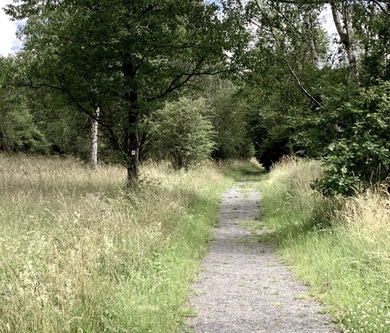 Weg Stausee Irrhausen, © Naturpark Südeifel/Ansgar Dondelinger