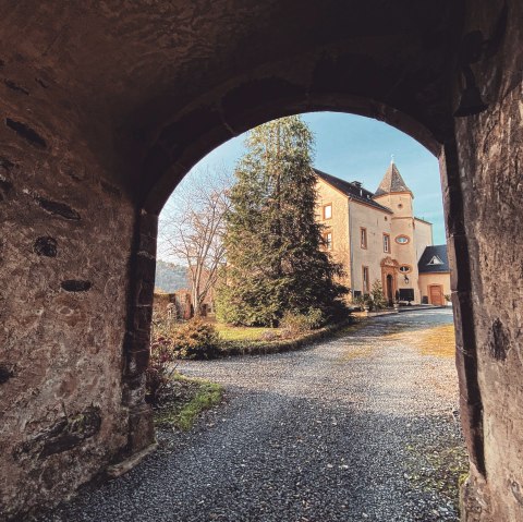 Blick durchs Tor, Schloss Roth, © Felsenland Südeifel Tourismus GmbH, AC Krebs