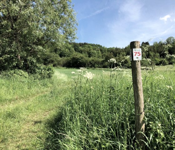 Markierung der Route 75 des Naturpark Südeifel, © TI Bitburger Land