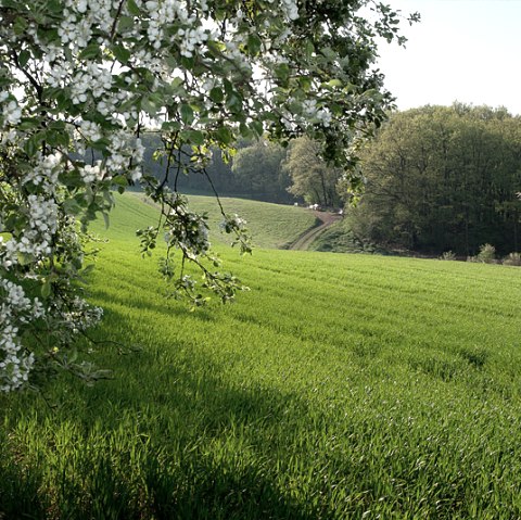 Auf dem Ketteschberg, © V. Teuschler