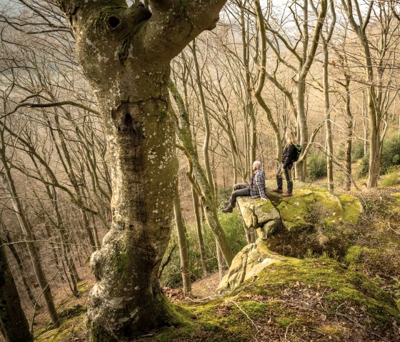 Rugged rocks, © Eifel Tourismus GmbH, D. Ketz