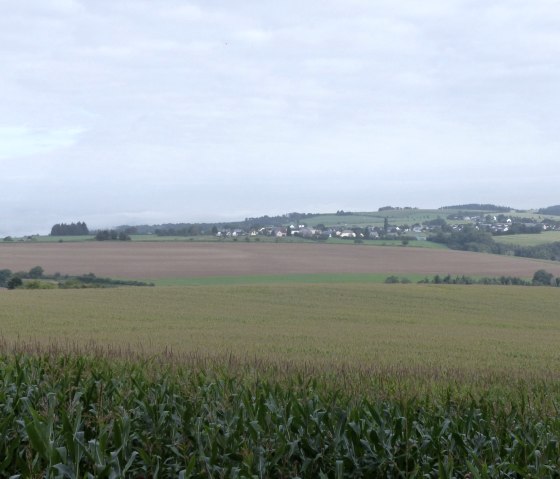 Blick auf Dahnen, © Tourist-Information Islek