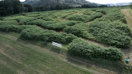 Naturlabyrinth von oben, © TI Bitburger Land