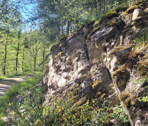 Gestein am Wanderweg Nr. 9, © Tourist-Information Islek