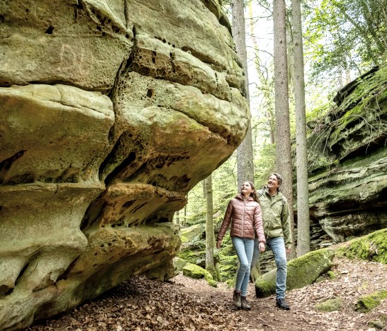 Grüne Hölle Bollendorf, © Eifel Tourismus GmbH Dominik Ketz.