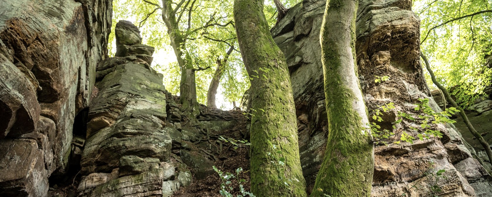 Felsen bei der Mandrack Passage im NaturWanderPark delux, © Eifel Toursimus GmbH, D. Ketz