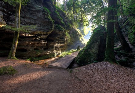 Leitfoto Naturwanderpark Delux, © Naturpark Südeifel/Charly Schleder