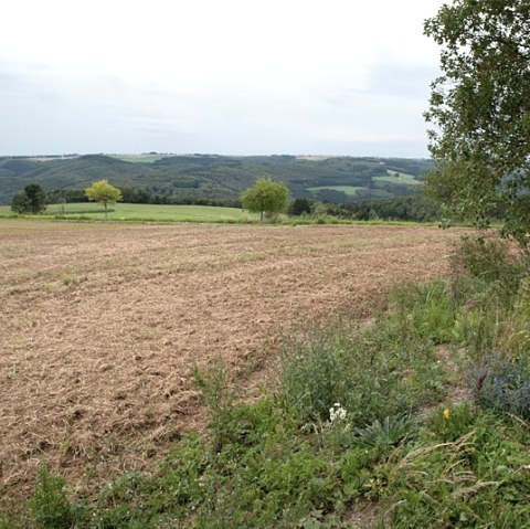 Eifelblick bei Preischeid